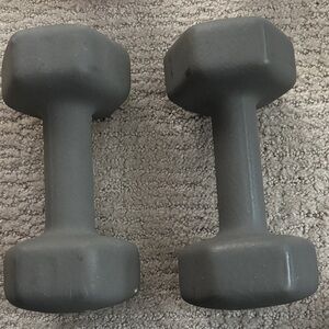 Gray 10lb Dumbbells Set